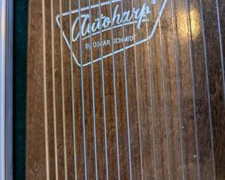 Auto harp