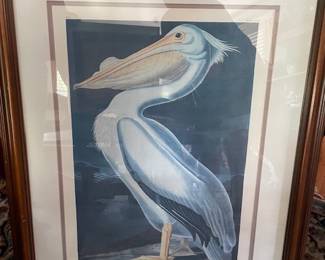 audubon pelican print