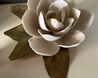 porcelain magnolia (Golden Crown E&R Italy)