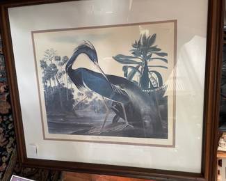 blue heron audubon print