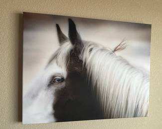Black and White Horse Portrait Canvas Print with Blue Eye