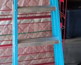 Werner 6 ft. Fiberglass Step Ladder
