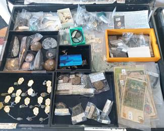 Fossils, bank noteand very old bronze rings