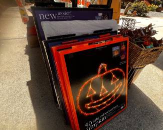 Holiday Light Ups  Boxed /large