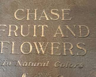Antique Book / Floral & Fruit Plates
