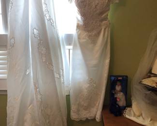 Wedding Dress and Train