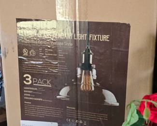 Brand New Celing Light Fixture 