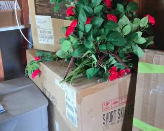 Brand New Light Fixtures