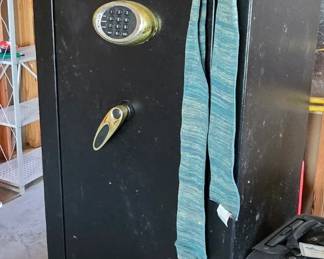 Sentry Safe Gun Safe