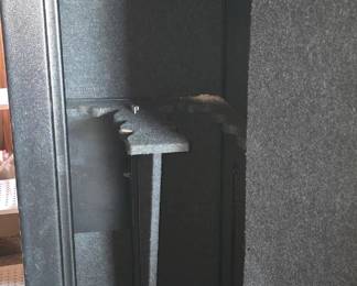Inside Gun Safe