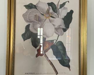 Magnolia print gold frame
