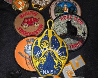Scout badges