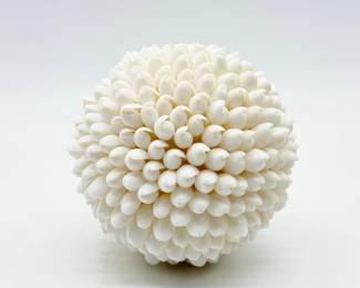 35 DecorativeWhiteSeaShellSphere