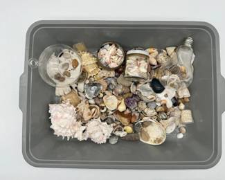 108 MixofSeaShells