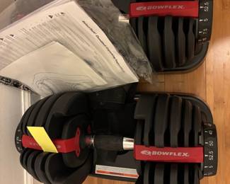 Set of Bowflex weights
