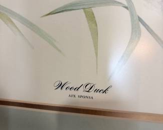  DON WHITLATCH Wood Duck Signed 