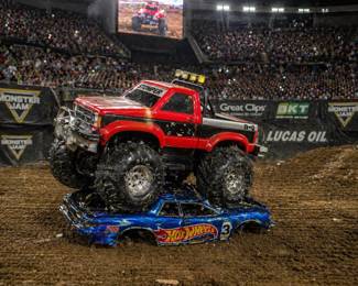 Stomper going wild 