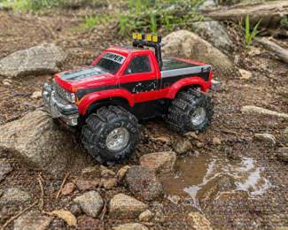 Stomper in the wild 