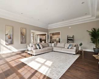 sectional, art, throw pillows