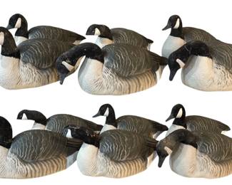 Collection of Goose Hunting Shell Decoys