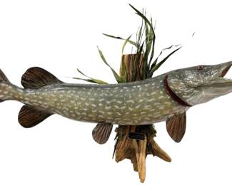 Vintage Northern Pike Taxidermy Fish Mount