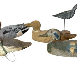 Collection Vintage Duck and Shorebird Decoys