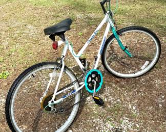 Canyon Run Free Spirit Bicycle with Extra Tire and Tube 