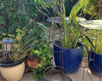 5' Tall Metal Topiary, Large Collection of Mature Potted Plants