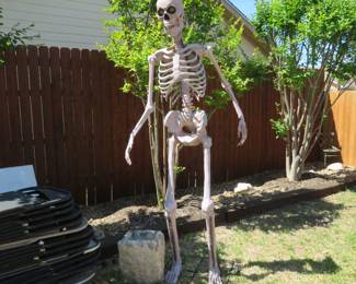 Huge Halloween Skeleton Yard Art