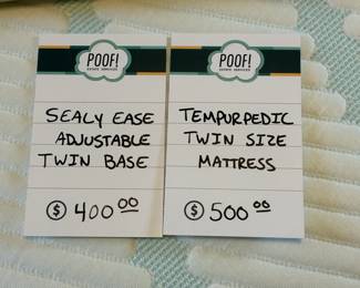 Sealy Ease Adjustable Tin Base, Tempurpedic Twin Size Mattress