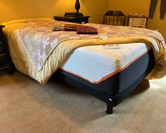 Sealy Ease Adjustable Tin Base, Tempurpedic Twin Size Mattress