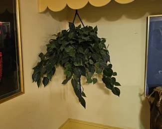 live and faux plants