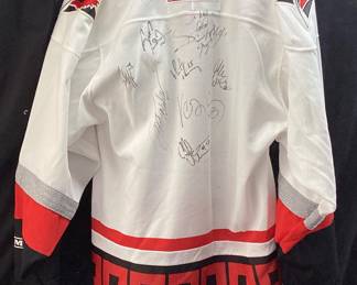 EARLY 2000s NHL CAROLINA HURRICANES AUTOGRAPHED JERSEY, GLEN WESLEY, JOSEPH VESICEK, BRET HEDICAN AND MORE