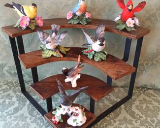 Beautiful Birds Collection