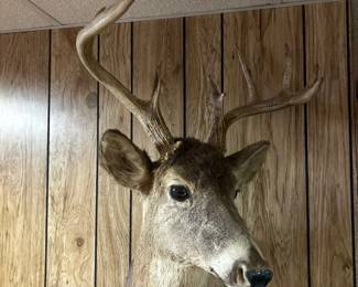 22Mar 16 2026 11 58amrvZb