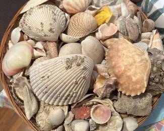 4Mar 16 2026 11 49amyenx