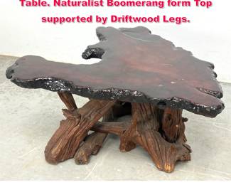 Lot 4 Live Edge Wood Slab Artisan Coffee Table. Naturalist Boomerang form Top supported by Driftwood Legs.