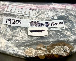 Ziploc Bag Marked 1920s Pennies