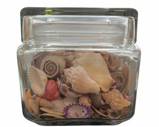 Seashell Collection in Glass Jar