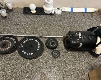 Weights, bar and punching bag