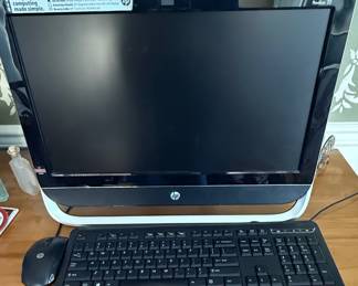 HP Pavilion 20 All-in-One PC