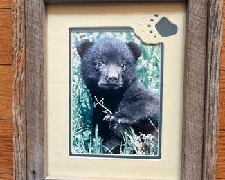 Ken Jenkins "Bear Cub" Framed Photograph