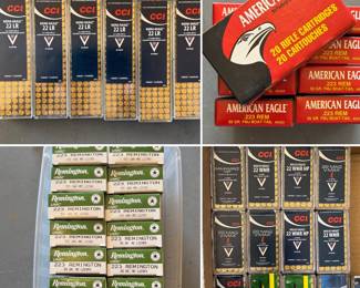 Misc. ammo - .22 & .223