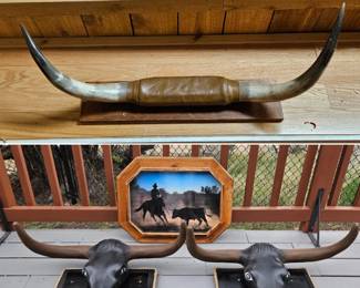 It's all about horns & steers