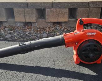 Echo leaf blower