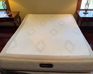 Queen Mattress and Boxspring- $100