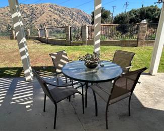 Plants, pots, patio furniture and yard art.