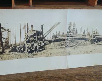 Antique Logging Photograph