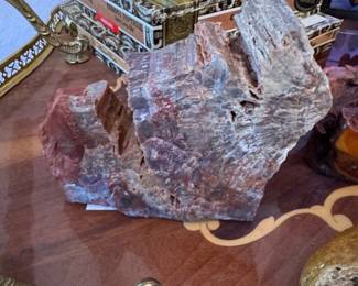 Petrified Wood Specimen