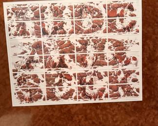 Bev Doolittle "Hide and Seek" Art Print Collection in Ornate Frame